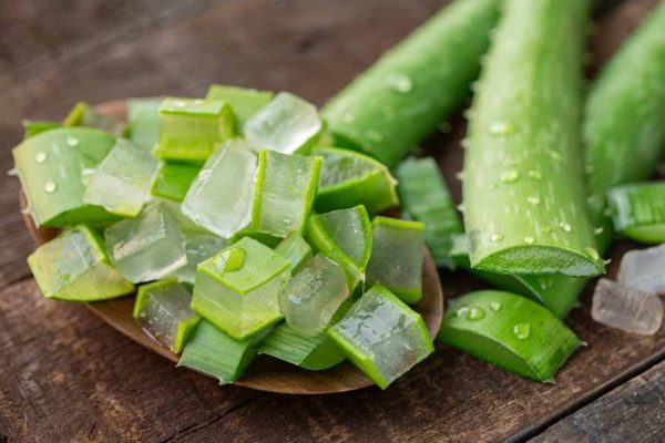 Inilah Manfaat Lidah Buaya, Dari Kesehatan Hingga Kecantikan