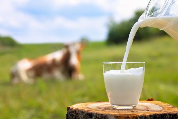 Jangan Konsumsi Makanan Berikut Jika Kamu Minum Susu